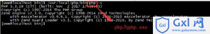 linux如何查看php版本 - 文章图片