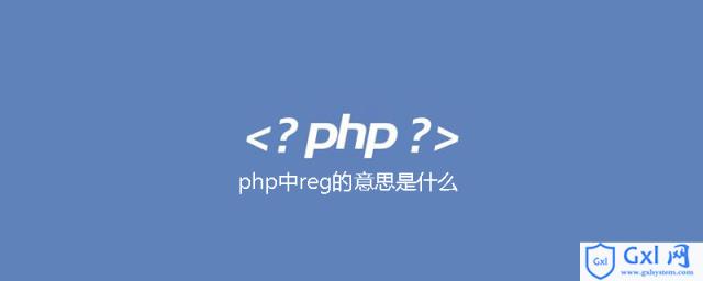 php中reg的意思是什么 - 文章图片