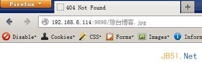 访问编码后的中文URL返回404错误的解决方法 - 文章图片