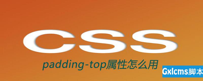 css padding-top属性怎么用 - 文章图片