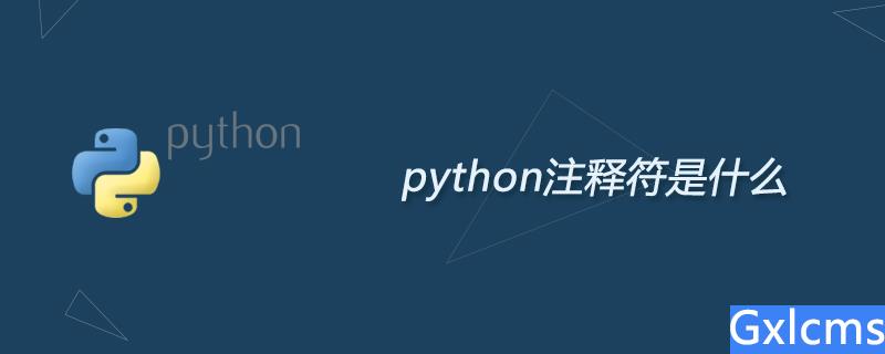 python注释符是什么 - 文章图片