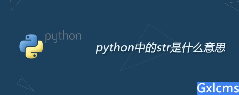 python中的str是什么意思 - 文章图片