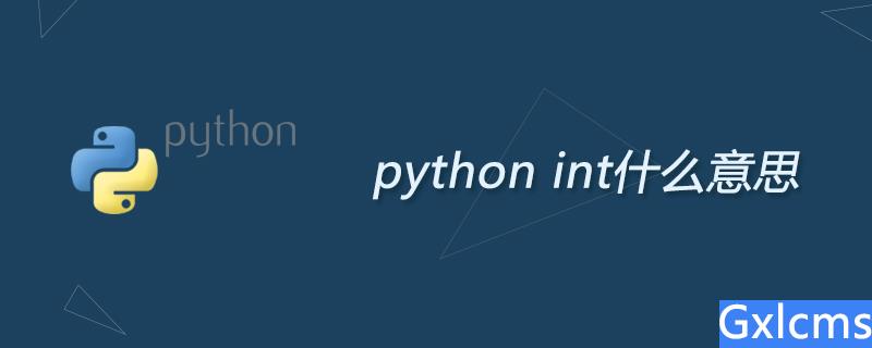 python int什么意思 - 文章图片