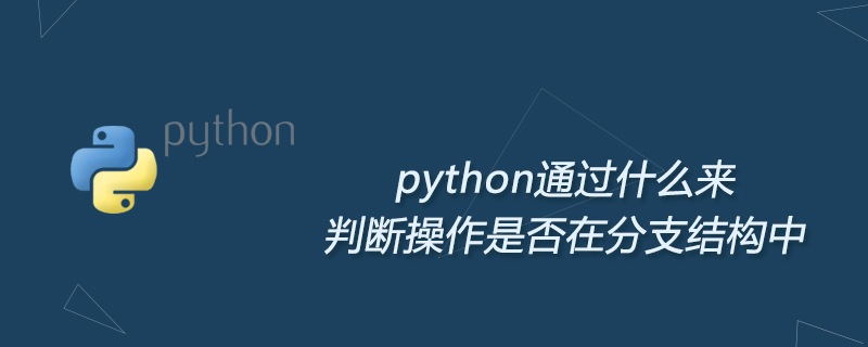 python通过什么来判断操作是否在分支结构中 - 文章图片