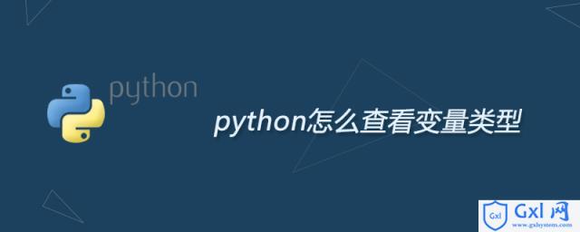 python怎么查看变量类型 - 文章图片