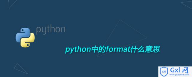 python中的format什么意思 - 文章图片
