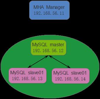 MySQL高可用之MHA—部署MHA - 文章图片