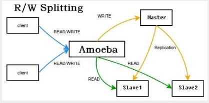 使用amoeba配置mysql读写分离 - 文章图片
