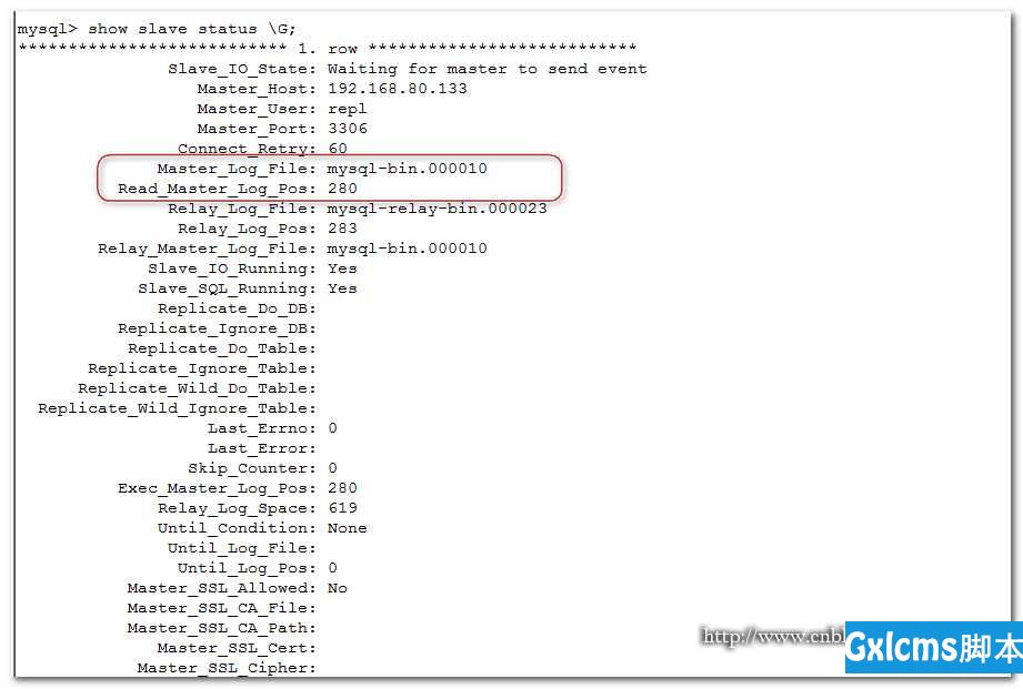 MySQL mysqldump数据导出详解  --dump-slave 注意事项 - 文章图片