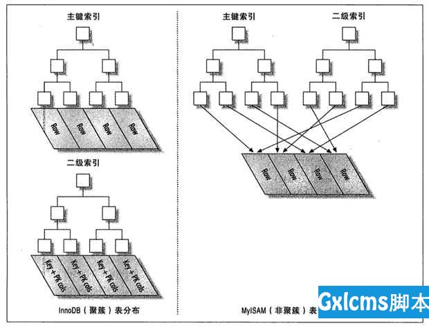 MySQL Basic - 文章图片