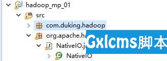 解决org.apache.hadoop.io.nativeio.NativeIO$Windows.access0(Ljava/lang/String;I)Z - 文章图片