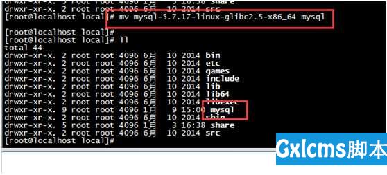 Linux虚拟机下安装配置MySQL - 文章图片