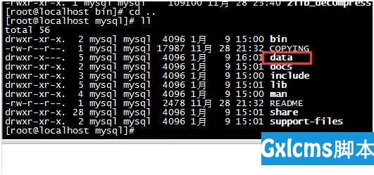 Linux虚拟机下安装配置MySQL - 文章图片