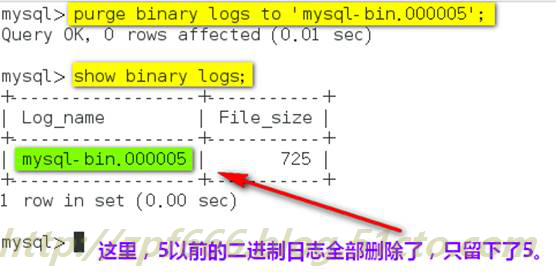 MySQL 架构组成--物理文件组成 - 文章图片