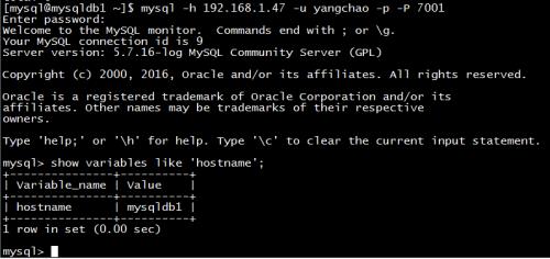 MySQL 主从复制 + MySQL Router 部署测试 - 文章图片
