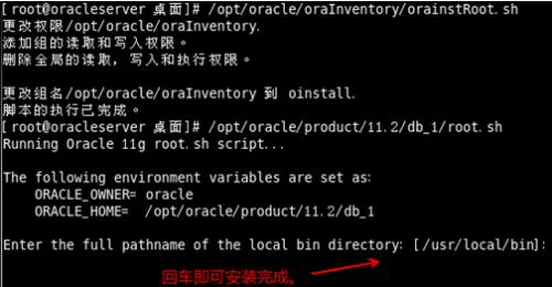 Oracle数据库部署 - 文章图片