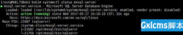 SQL Server on Red Hat Enterprise Linux - 文章图片