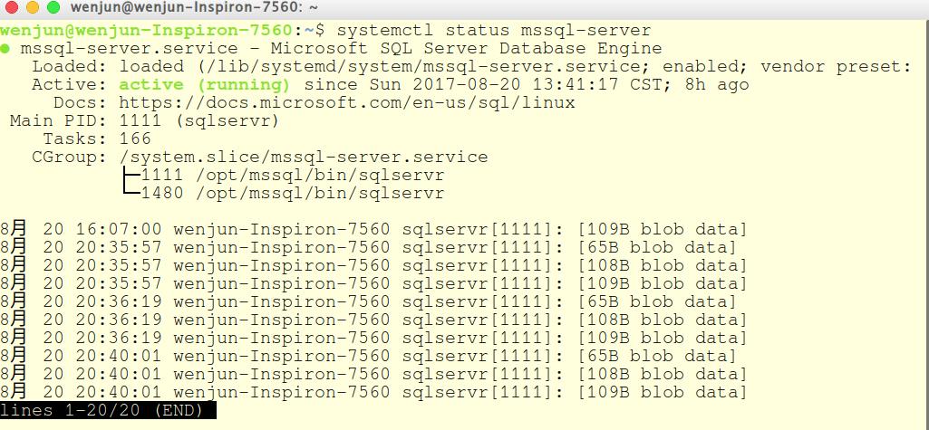 SQL SERVER FOR LINUX初体验 - 文章图片