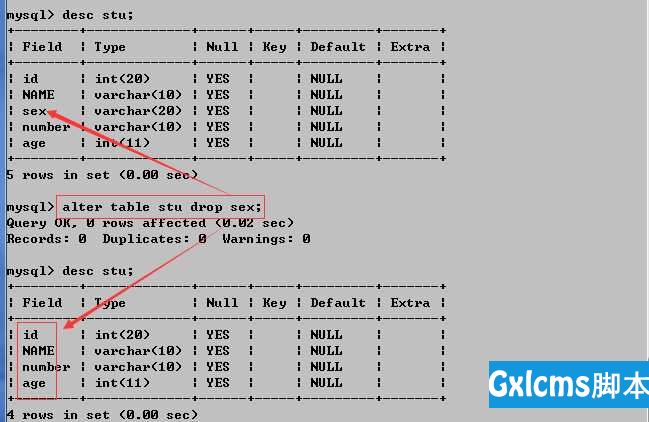 MySQL完整教程 - 文章图片