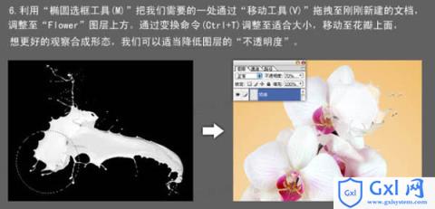 Photoshop合成牛奶泼洒出纯白色花朵的效果 - 文章图片