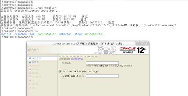 解决安装Oracle12c时中文方块字 - 文章图片