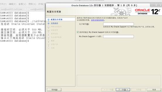 解决安装Oracle12c时中文方块字 - 文章图片