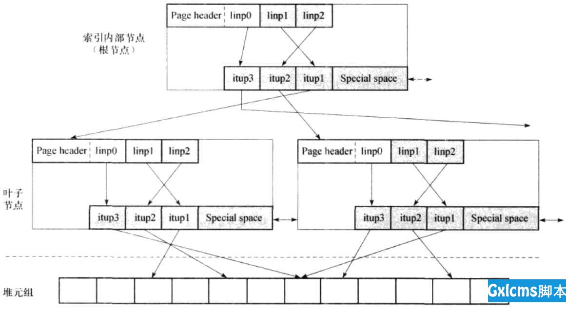 PostgreSQL中的B-TREE索引 - 文章图片