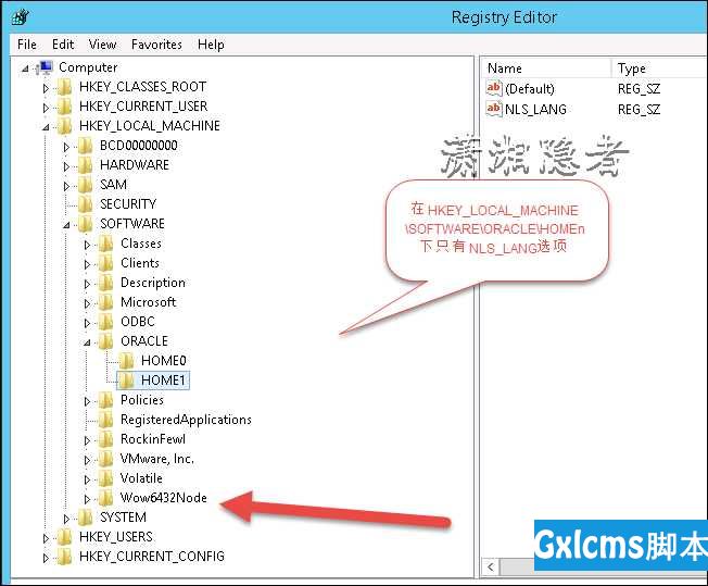 如何查看Oracle客户端版本 - 文章图片