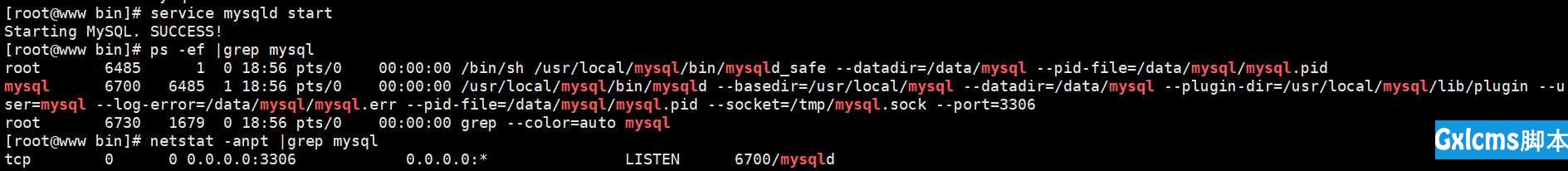 MySQL5.7.x二进制安装 - 文章图片