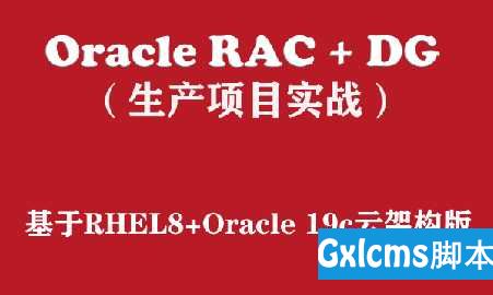 Oracle19c RAC+DG生产项目实战（RHEL8+云架构版）视频教程 - 文章图片