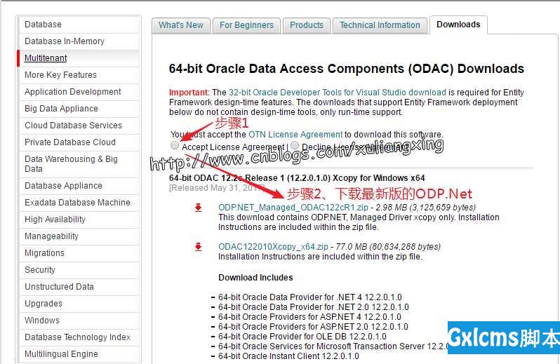 C# 不安装Oracle客户端情况下，如何连接到Oracle数据库 - 文章图片