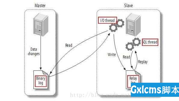 mysql+centos7+主从复制 - 文章图片