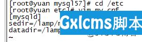linux安装mysql数据库 - 文章图片