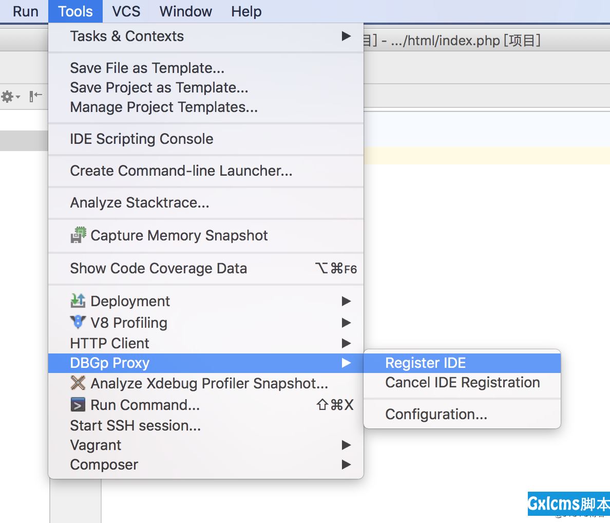 phpstorm+xdebug+dbgp远程多用户调试 - 文章图片