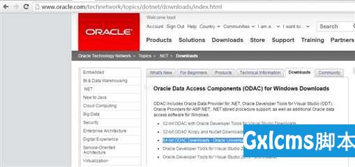 C# 连接Oracle 11g 无需安装Oracle客户端 - 文章图片