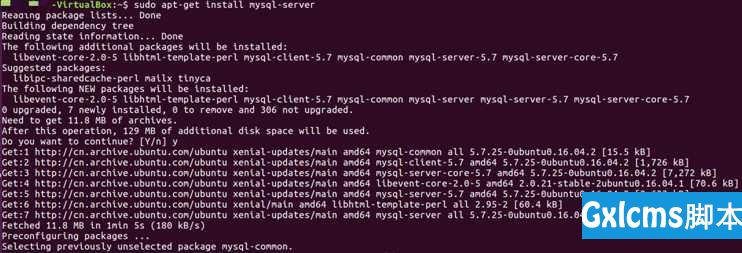 ubuntu 上安装MySQL - 文章图片