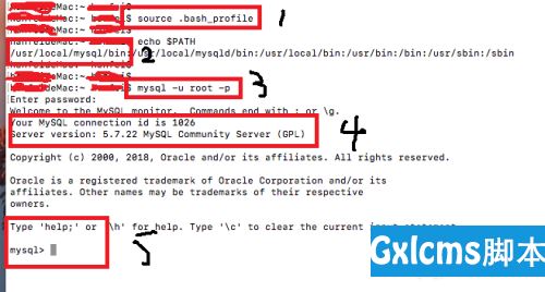 如何在Macbook上安装MySQL ? - 文章图片