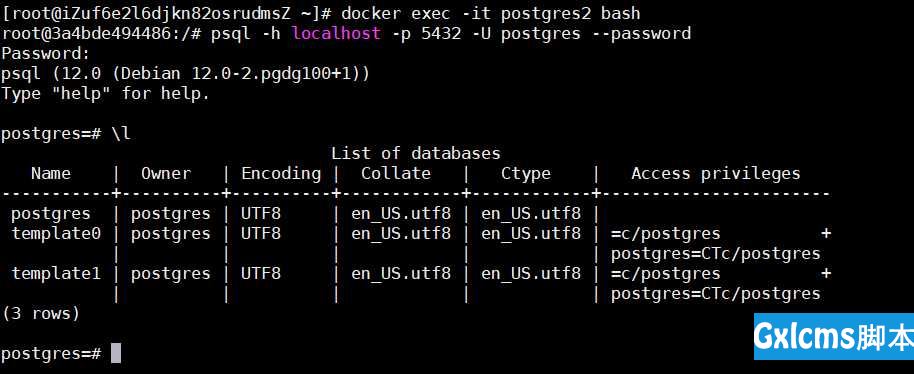 docker安装并持久化postgresql数据库 - 文章图片