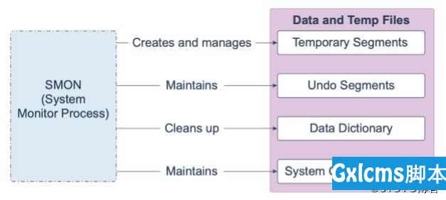 Oracle Database 19c 技术架构（四） - 文章图片
