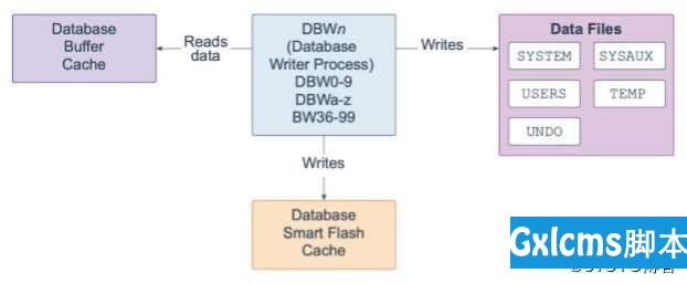 Oracle Database 19c 技术架构（四） - 文章图片