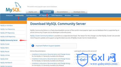 win10免安装版本的MySQL安装配置教程 - 文章图片