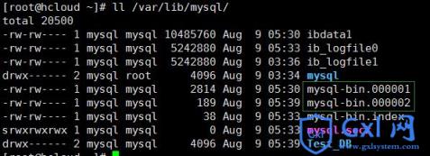 Linux上通过binlog文件恢复mysql数据库详细步骤 - 文章图片