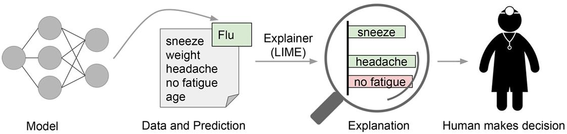 LIME算法：模型的可解释性（代码实现） - 文章图片