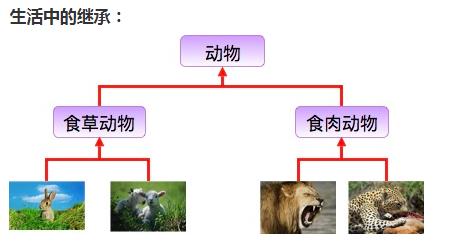 Java 面向对象概括和总结 - 文章图片