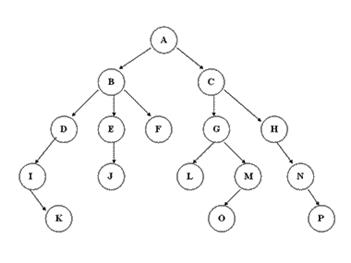 数据结构与算法（Python） - 文章图片