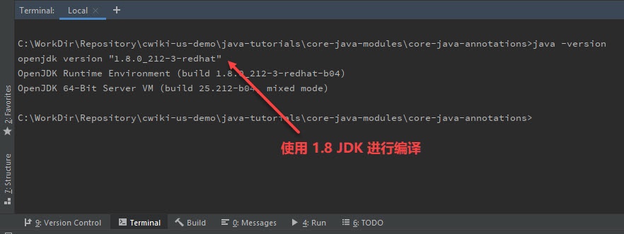 Java 项目编译错误 Error:java: java.lang.ExceptionInInitializer - 文章图片