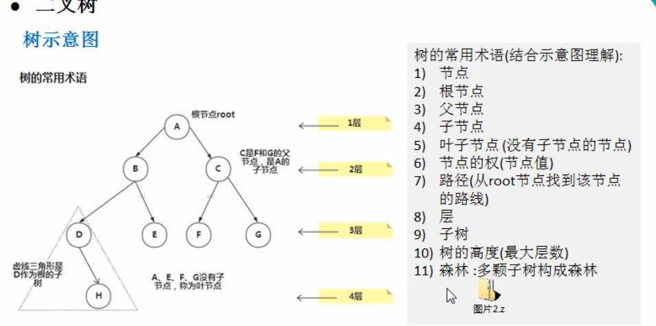 数据结构与算法-java-二叉树 - 文章图片