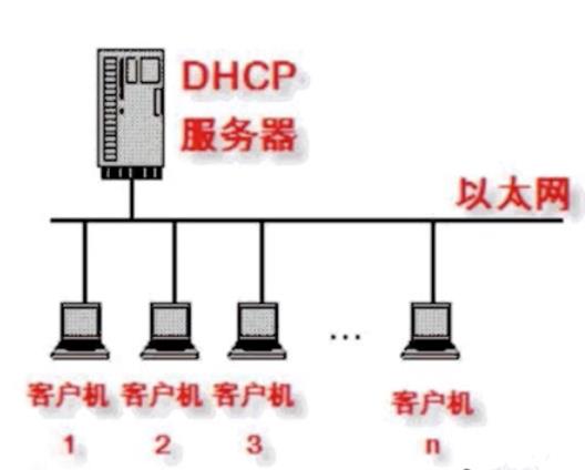 bilibili_Linux网络基础6_DHCP服务 - 文章图片
