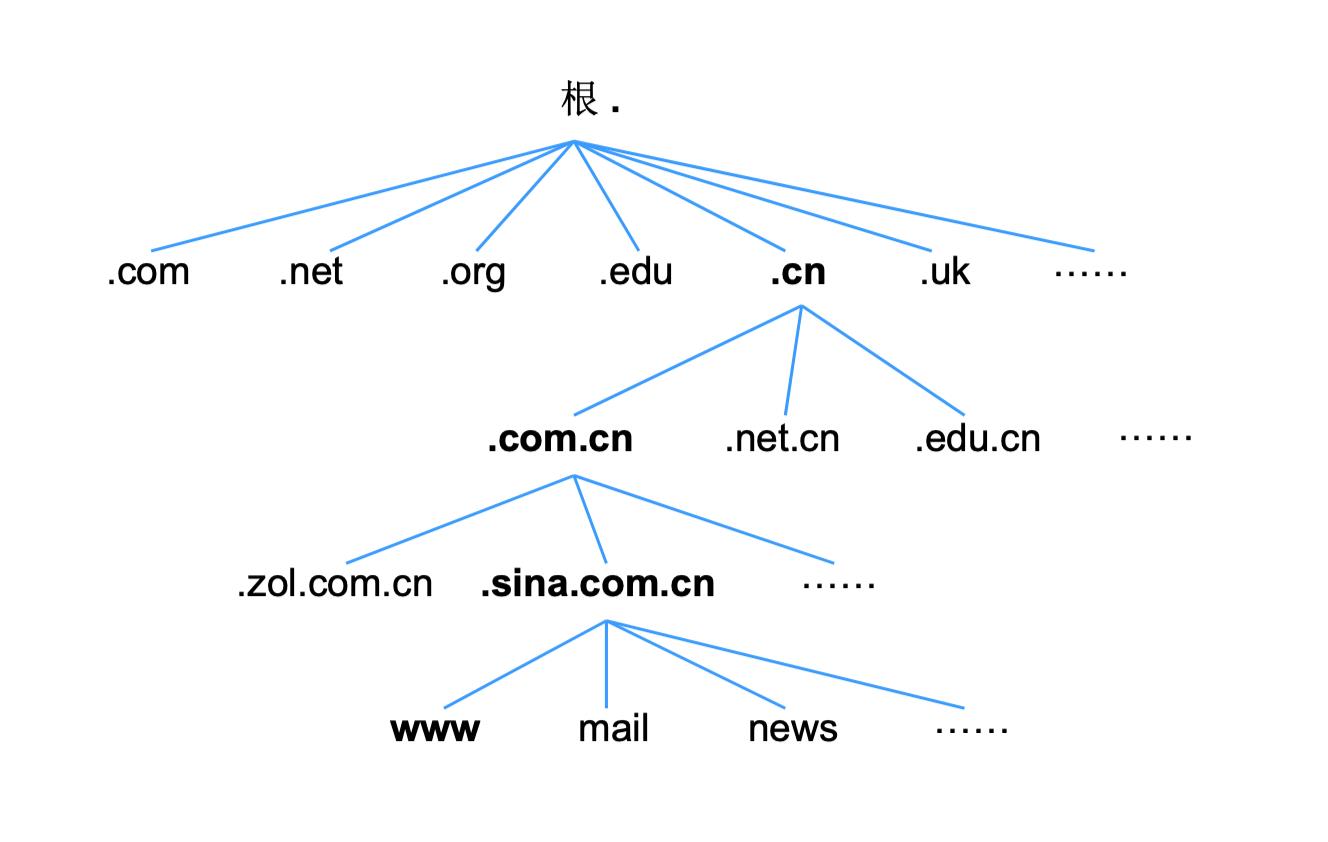 bilibili_Linux网络基础9_DNS服务 - 文章图片