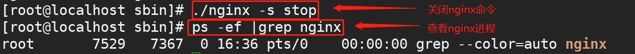 nginx常用命令 - 文章图片